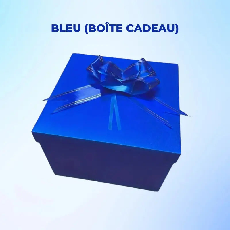 Boîte pour Cadeau | Surprise