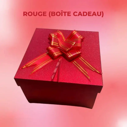 Boîte pour Cadeau | Surprise