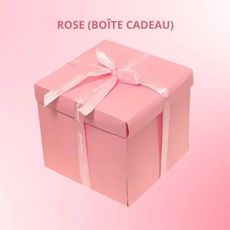 Boîte pour Cadeau | Surprise